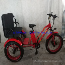 USA Popular Fat Tire E Trike Three 3 Wheel Passenger Electric Tricycle